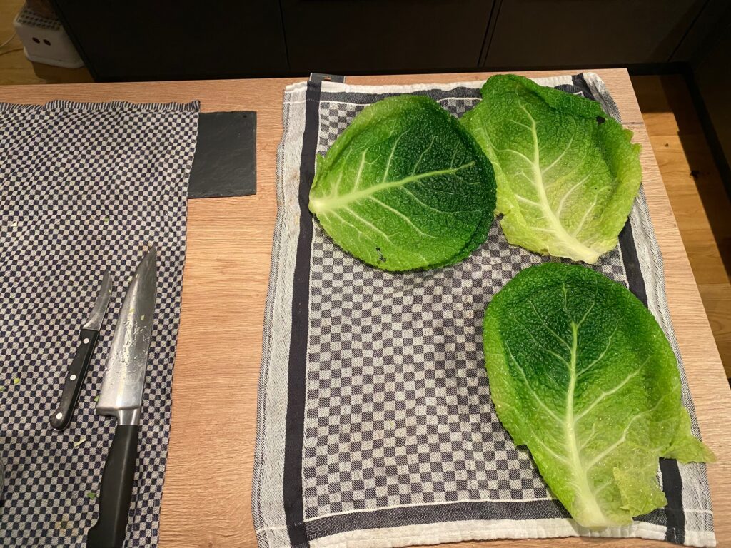 Zum Advent etwas Raffiniertes: Käseknödel im Wirsingblatt mit Petersile ...